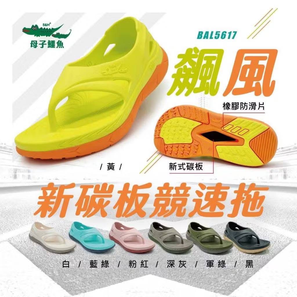 母子鱷魚 新碳板競速拖 商品圖